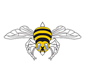 Top Notch Pest Control Corp